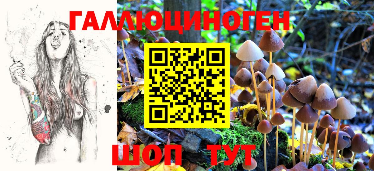 Галлюциногенные грибы Psilocybine cubensis  Галлюциногенные грибы Magic Shrooms  Вход с VPN  Камышин 